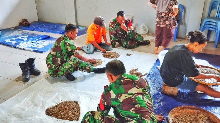 Babinsa Koramil 10 Bawang Turun Tangan Seleksi Benih Kopi Unggul