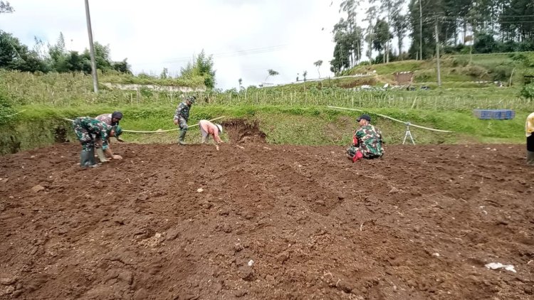Olah Lahan Koramil Bantu Petani
