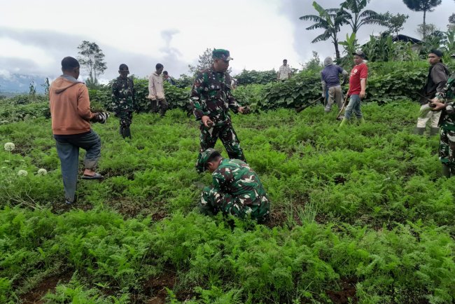 TNI Bersama komponen masyarakat tanami lahan kawasan hutan gundul