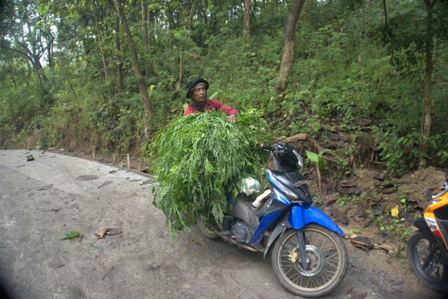Akses Pakan Makin Mudah, Peternak Kambing Desa Cikuya Bangga Nikmati Jalan Baru Hasil TMMD