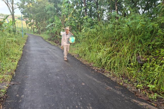 Jalan Usaha Tani Mulus, Petani Desa Cikuya Sambut Panen Raya dengan Optimisme Baru