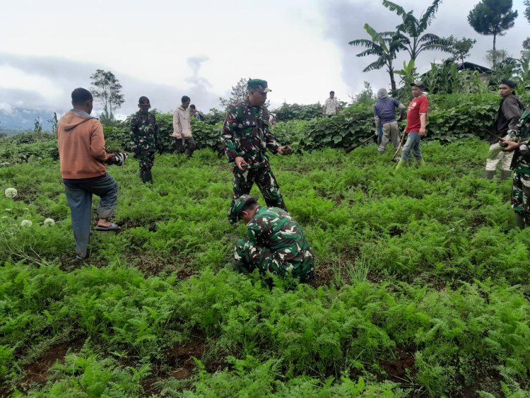 TNI Bersama komponen masyarakat tanami lahan kawasan hutan gundul