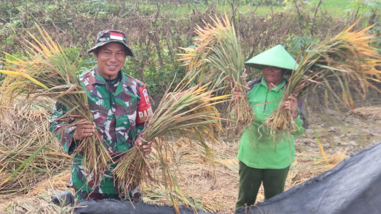 Tak Lagi Susah Bawa Hasil Panen, Senyum Ibu Una di Atas Jalan Baru Kini Terwujud