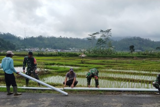 Danramil 06 Kalibening Bantu Program Pipanisasi untuk Ketahanan Pangan