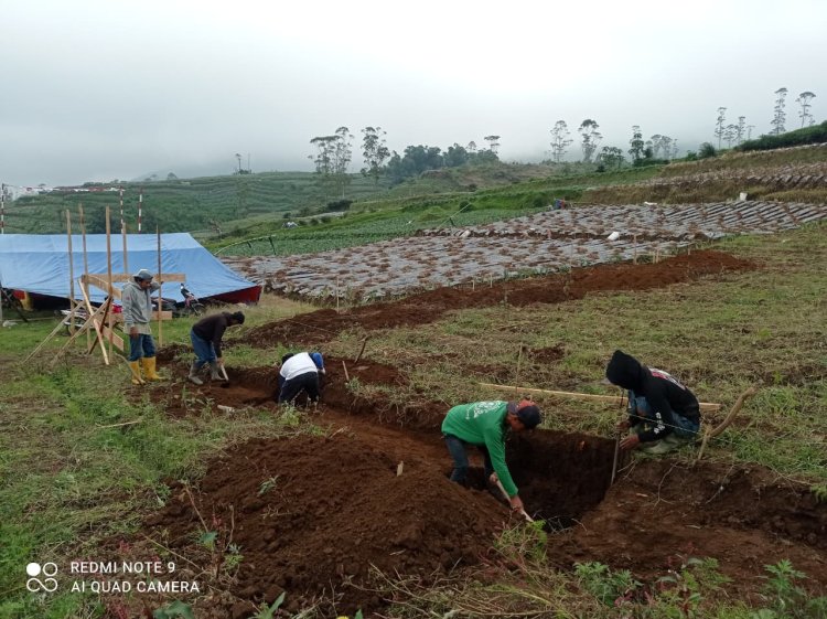 Babinsa Koramil 05 Batur Awasi Penggalian Pondasi KDKMP di Desa Pekasiran