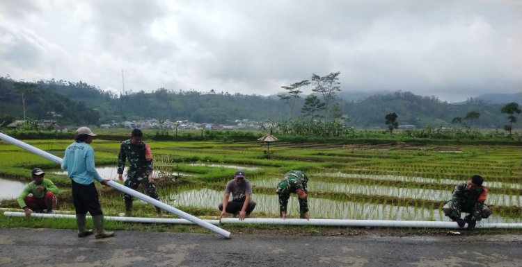 Danramil 06 Kalibening Bantu Program Pipanisasi untuk Ketahanan Pangan