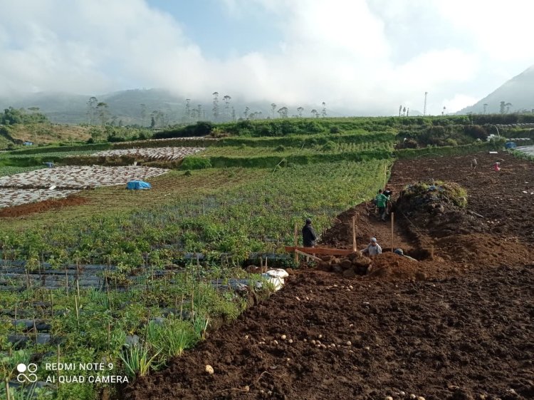 Babinsa Batur Awasi Penggalian Pondasi Pembangunan KDKMP di Pekasiran