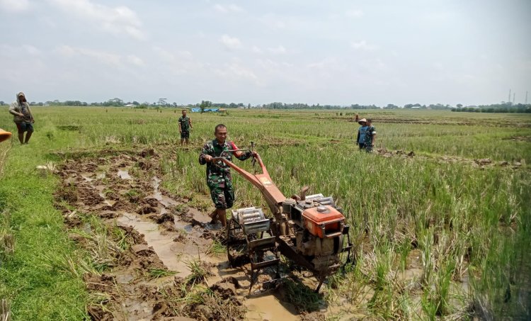 Babinsa Koramil 07 Mandiraja Membantu Petani Mengolah Lahan Sawah