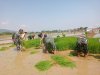 Babinsa bersama petani melaksanakan Daud