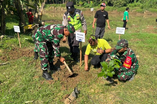 Koramil 02 Klampok Bersama Forkopimcam dan Siswa SMAN 1 Purwareja Klampok Gelar Aksi Penghijauan di Bantaran Sungai Serayu