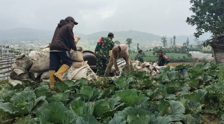 Terus Dukung Program Ketahanan Pangan Koramil Gotong Royong Dengan Masyarakat Pengecoran Jalan Usaha Tani  