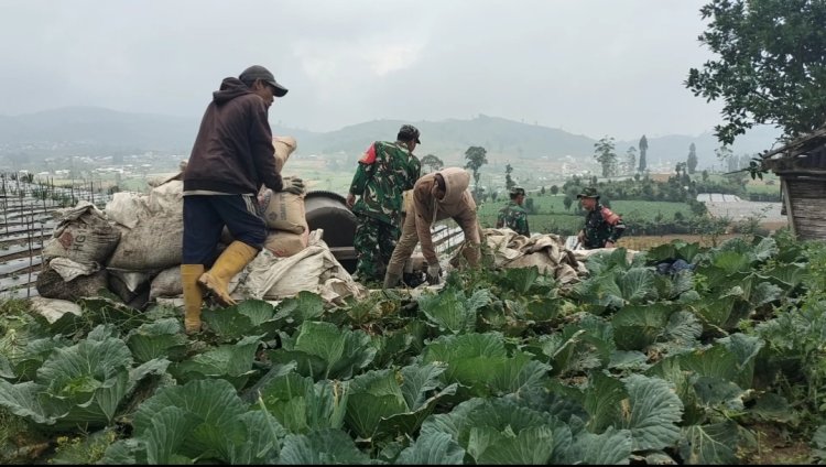 Terus Dukung Program Ketahanan Pangan Koramil Gotong Royong Dengan Masyarakat Pengecoran Jalan Usaha Tani  