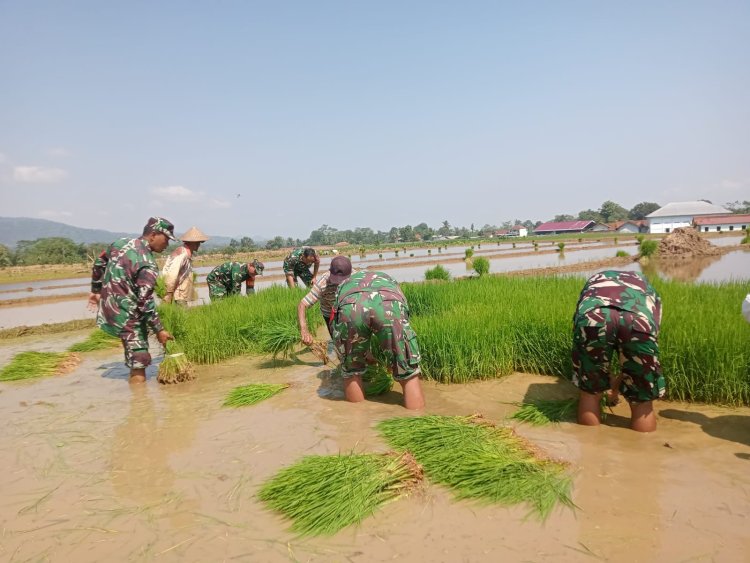 Babinsa bersama petani melaksanakan Daud