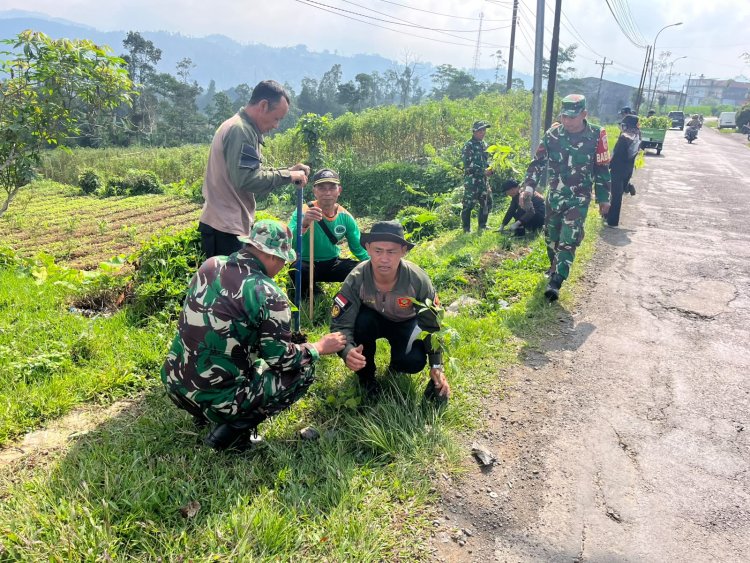 Koramil 17 Wanayasa bersama komponen masyarakat adakan gerakan penanaman pohon