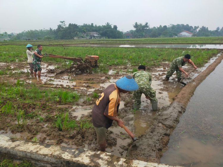 Semangat Babinsa Kebersamaan Membantu Pentani Saat olah lahan diwilayah
