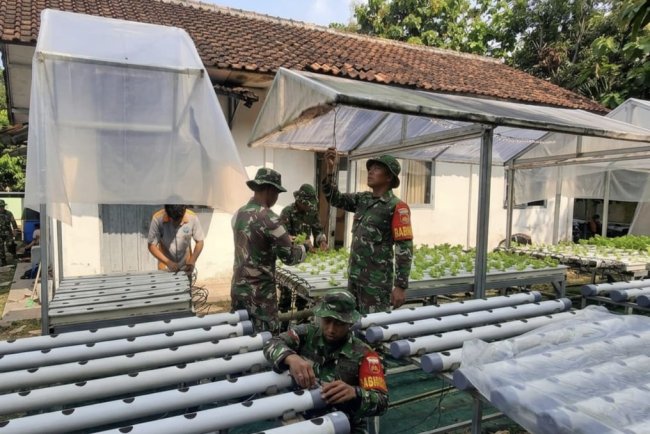Koramil 03 Wanadadi Kembangkan Hidroponik untuk Mendukung Ketahanan Pangan
