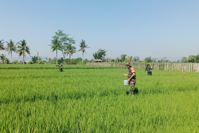 Gelang Rawat Kebersamaan di Tengah Sawah