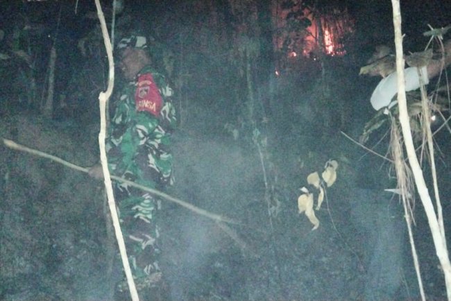 Kebakaran Lahan Pinus Perhutani di Desa Panerusan Wetan Luas Sekitar 1 Hektare