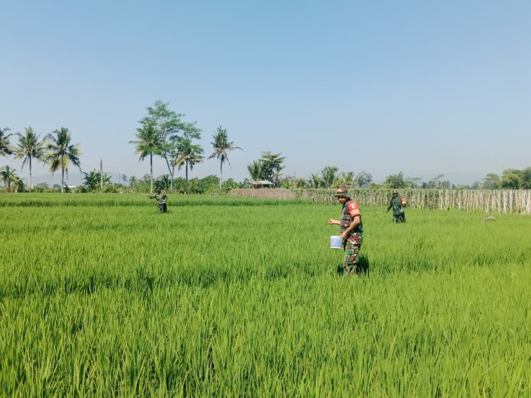 Gelang Rawat Kebersamaan di Tengah Sawah