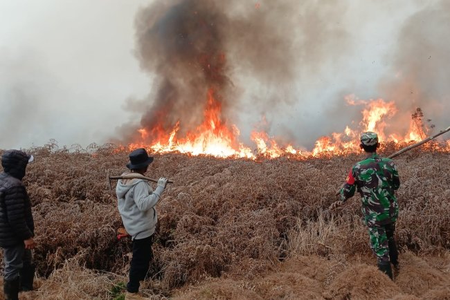 Kebakaran Semak Belukar di Lahan Perhutani Diengkulon TNI-Polri dan Warga Bergerak Padamkan Api