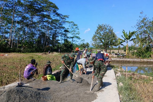 Gotong Royong Perbaiki Jalan Usaha Tani Babinsa Koramil 03 Wanadadi Bersama Poktan Ngudi Rejeki Perkuat Akses Pertanian