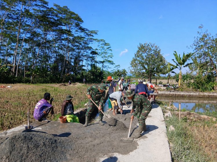 Gotong Royong Perbaiki Jalan Usaha Tani Babinsa Koramil 03 Wanadadi Bersama Poktan Ngudi Rejeki Perkuat Akses Pertanian