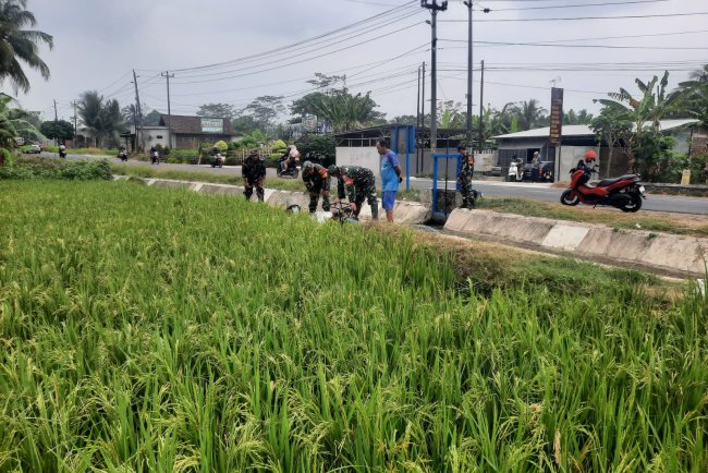 Hadapi Kemarau Panjang, Koramil 03/Wanadadi Bantu Pengairan 24 Hektare Sawah di Linggasari