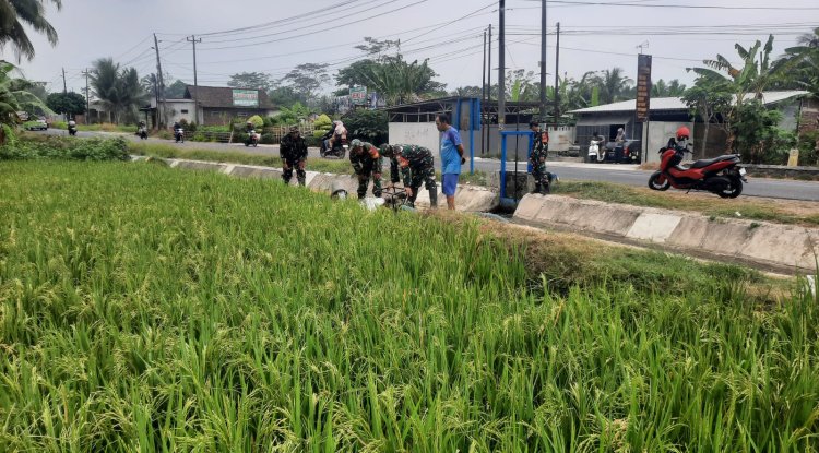 Hadapi Kemarau Panjang, Koramil 03/Wanadadi Bantu Pengairan 24 Hektare Sawah di Linggasari