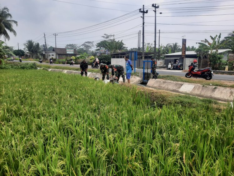 Hadapi Kemarau Panjang, Koramil 03/Wanadadi Bantu Pengairan 24 Hektare Sawah di Linggasari