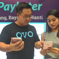 bantuan ovo kendala transaksi pending